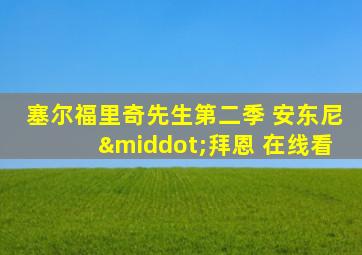 塞尔福里奇先生第二季 安东尼·拜恩 在线看